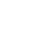 Icon Wordpress